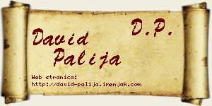 David Palija vizit kartica